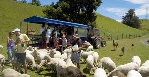 Farm Yard on wheels