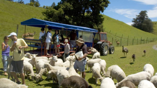 Farm Yard on wheels