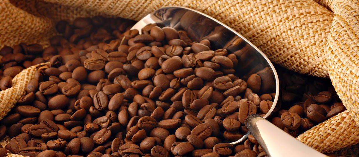 What is so good about Arabica coffee?