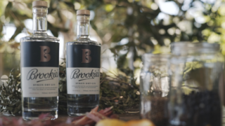 Brookies Gin Tour