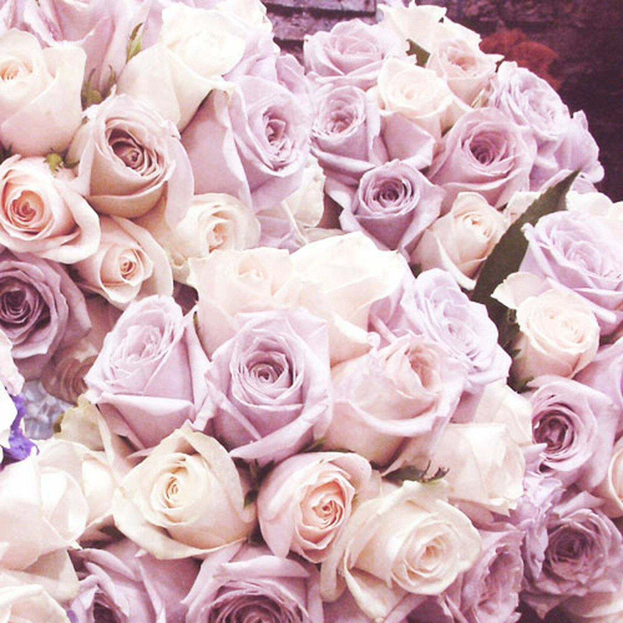 Bridal bouquets Gold Coast